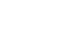 Softwareoptimeret ikon